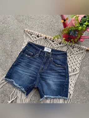 BKE Jean Shorts Size 22